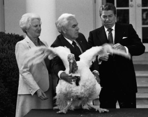 AP Photo/Scott Stewart Courtesy http://swampland.time.com/2013/11/27/let-us-remember-the-pardoned-turkeys-who-all-die-anyway/