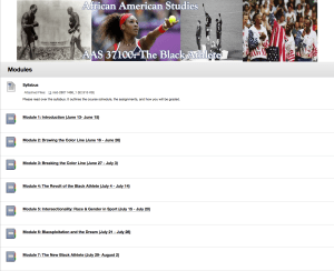 A glimpse inside of my course.