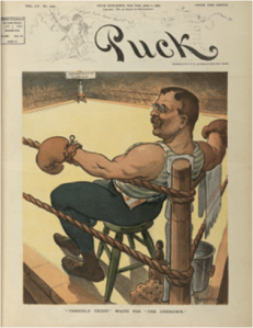 Terrible Teddy” waits for “the unknown.” June 1, 1904. Prints and Photographs division. Library of Congress Prints and Photographs Division. Theodore Roosevelt Digital Library. Dickinson State University.